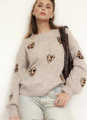 PULL MODELE ANOUK